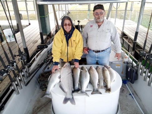 Nice Striped Bass